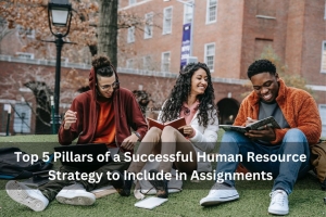 Top 5 Pillars of a Successful Human Resource Strategy to Include in Assignments